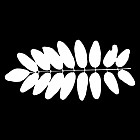 Filename=leaf_mask_00268.jpg
Filesize=43KiB
Dimensions=640x640
Date added=Sep 14, 2006 leaf_mask_00268.jpg