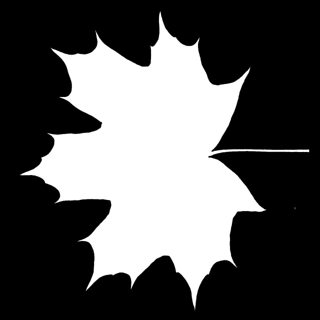 Leaf Mask        