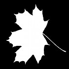 leaf_mask_00183.jpg