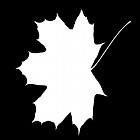 leaf_mask_00184.jpg