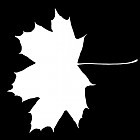 leaf_mask_00186.jpg