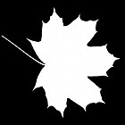 leaf_mask_00405.jpg