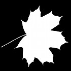 leaf_mask_00406.jpg