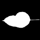 Filename=leaf_mask_00010.jpg
Filesize=20KiB
Dimensions=640x640
Date added=Sep 14, 2006 leaf_mask_00010.jpg