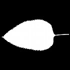 Filename=leaf_mask_00018.jpg
Filesize=22KiB
Dimensions=640x640
Date added=Sep 14, 2006 leaf_mask_00018.jpg