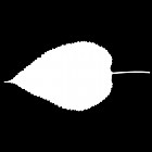 Filename=leaf_mask_00074.jpg
Filesize=22KiB
Dimensions=640x640
Date added=Sep 14, 2006 leaf_mask_00074.jpg
