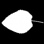 Filename=leaf_mask_00079.jpg
Filesize=23KiB
Dimensions=640x640
Date added=Sep 14, 2006 leaf_mask_00079.jpg
