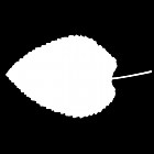 Filename=leaf_mask_00080.jpg
Filesize=23KiB
Dimensions=640x640
Date added=Sep 14, 2006 leaf_mask_00080.jpg