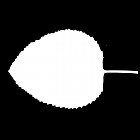 Filename=leaf_mask_00212.jpg
Filesize=22KiB
Dimensions=640x640
Date added=Sep 14, 2006 leaf_mask_00212.jpg