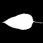 Filename=leaf_mask_00277.jpg
Filesize=21KiB
Dimensions=640x640
Date added=Sep 14, 2006 leaf_mask_00277.jpg
