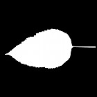 Filename=leaf_mask_00279.jpg
Filesize=21KiB
Dimensions=640x640
Date added=Sep 14, 2006 leaf_mask_00279.jpg