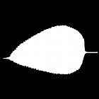 Filename=leaf_mask_00466.jpg
Filesize=22KiB
Dimensions=640x640
Date added=Sep 14, 2006 leaf_mask_00466.jpg