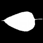 Filename=leaf_mask_00467.jpg
Filesize=22KiB
Dimensions=640x640
Date added=Sep 14, 2006 leaf_mask_00467.jpg