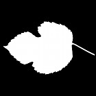 Filename=leaf_mask_00492.jpg
Filesize=24KiB
Dimensions=640x640
Date added=Sep 14, 2006 leaf_mask_00492.jpg