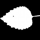 Filename=leaf_mask_texture_00008.jpg
Filesize=24KiB
Dimensions=640x640
Date added=Sep 14, 2006 leaf_mask_texture_00008.jpg