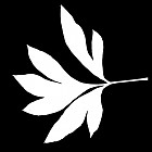 Filename=leaf_mask_00187.jpg
Filesize=37KiB
Dimensions=640x640
Date added=Sep 14, 2006 leaf_mask_00187.jpg