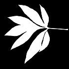 Filename=leaf_mask_00188.jpg
Filesize=39KiB
Dimensions=640x640
Date added=Sep 14, 2006 leaf_mask_00188.jpg