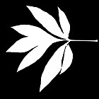 Filename=leaf_mask_00193.jpg
Filesize=38KiB
Dimensions=640x640
Date added=Sep 14, 2006 leaf_mask_00193.jpg