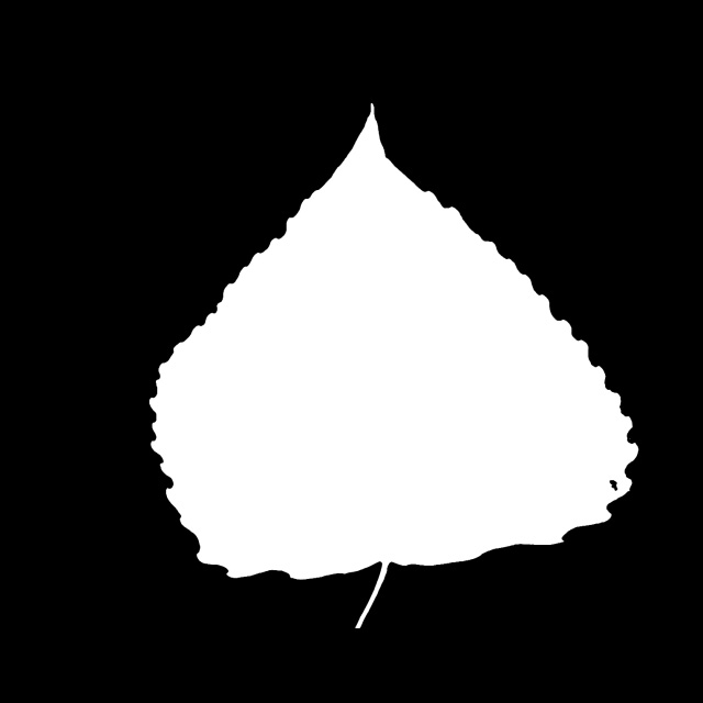 Leaf Mask Texture        