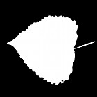 Filename=leaf_mask_texture_00014.jpg
Filesize=25KiB
Dimensions=640x640
Date added=Sep 14, 2006 leaf_mask_texture_00014.jpg