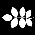 Filename=leaf_mask_00110.jpg
Filesize=39KiB
Dimensions=640x640
Date added=Sep 14, 2006 leaf_mask_00110.jpg