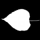 Filename=leaf_mask_00429.jpg
Filesize=24KiB
Dimensions=640x640
Date added=Sep 14, 2006 leaf_mask_00429.jpg