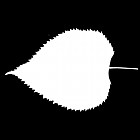 Filename=leaf_mask_00430.jpg
Filesize=26KiB
Dimensions=640x640
Date added=Sep 14, 2006 leaf_mask_00430.jpg