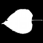 Filename=leaf_mask_00455.jpg
Filesize=25KiB
Dimensions=640x640
Date added=Sep 14, 2006 leaf_mask_00455.jpg