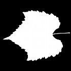 Filename=leaf_mask_00118.jpg
Filesize=26KiB
Dimensions=640x640
Date added=Sep 14, 2006 leaf_mask_00118.jpg