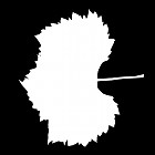 Filename=leaf_mask_00198.jpg
Filesize=29KiB
Dimensions=640x640
Date added=Sep 14, 2006 leaf_mask_00198.jpg