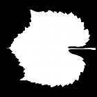 Filename=leaf_mask_00323.jpg
Filesize=29KiB
Dimensions=640x640
Date added=Sep 14, 2006 leaf_mask_00323.jpg