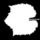 Filename=leaf_mask_00324.jpg
Filesize=30KiB
Dimensions=640x640
Date added=Sep 14, 2006 leaf_mask_00324.jpg
