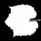 Filename=leaf_mask_00325.jpg
Filesize=29KiB
Dimensions=640x640
Date added=Sep 14, 2006 leaf_mask_00325.jpg
