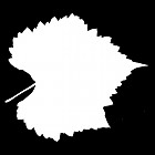 Filename=leaf_mask_00417.jpg
Filesize=29KiB
Dimensions=640x640
Date added=Sep 14, 2006 leaf_mask_00417.jpg
