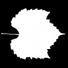 Filename=leaf_mask_00420.jpg
Filesize=28KiB
Dimensions=640x640
Date added=Sep 14, 2006 leaf_mask_00420.jpg
