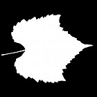 Filename=leaf_mask_00421.jpg
Filesize=27KiB
Dimensions=640x640
Date added=Sep 14, 2006 leaf_mask_00421.jpg