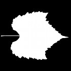 Filename=leaf_mask_00422.jpg
Filesize=27KiB
Dimensions=640x640
Date added=Sep 14, 2006 leaf_mask_00422.jpg