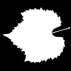 Filename=leaf_mask_00434.jpg
Filesize=30KiB
Dimensions=640x640
Date added=Sep 14, 2006 leaf_mask_00434.jpg
