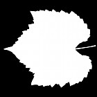 Filename=leaf_mask_00453.jpg
Filesize=29KiB
Dimensions=640x640
Date added=Sep 14, 2006 leaf_mask_00453.jpg