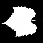 Filename=leaf_mask_00458.jpg
Filesize=27KiB
Dimensions=640x640
Date added=Sep 14, 2006 leaf_mask_00458.jpg