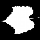 Filename=leaf_mask_00459.jpg
Filesize=27KiB
Dimensions=640x640
Date added=Sep 14, 2006 leaf_mask_00459.jpg