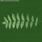 Filename=leaf_00022.jpg
Filesize=47KiB
Dimensions=640x640
Date added=Sep 14, 2006 leaf_00022.jpg