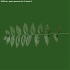 Filename=leaf_00132.jpg
Filesize=43KiB
Dimensions=640x640
Date added=Sep 14, 2006 leaf_00132.jpg