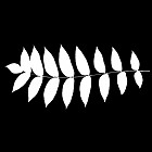 Filename=leaf_mask_00023.jpg
Filesize=40KiB
Dimensions=640x640
Date added=Sep 14, 2006 leaf_mask_00023.jpg