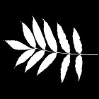 Filename=leaf_mask_00035.jpg
Filesize=45KiB
Dimensions=640x640
Date added=Sep 14, 2006 leaf_mask_00035.jpg