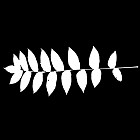 Filename=leaf_mask_00131.jpg
Filesize=36KiB
Dimensions=640x640
Date added=Sep 14, 2006 leaf_mask_00131.jpg