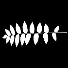 Filename=leaf_mask_00132.jpg
Filesize=37KiB
Dimensions=640x640
Date added=Sep 14, 2006 leaf_mask_00132.jpg