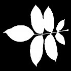 Filename=leaf_mask_00138.jpg
Filesize=37KiB
Dimensions=640x640
Date added=Sep 14, 2006 leaf_mask_00138.jpg