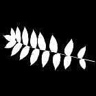 Filename=leaf_mask_00164.jpg
Filesize=38KiB
Dimensions=640x640
Date added=Sep 14, 2006 leaf_mask_00164.jpg