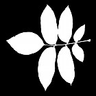 Filename=leaf_mask_00173.jpg
Filesize=38KiB
Dimensions=640x640
Date added=Sep 14, 2006 leaf_mask_00173.jpg